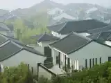 Standard Double room with garden view
