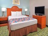 1 Bedroom Double Suite