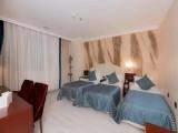 Standard Triple room with city view