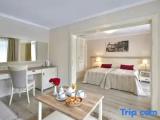 Triple Junior Suite with park view