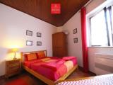 1 Bedroom Basement Apartment