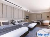 Standard Triple room with city view