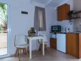 Standard Double Studio with garden view