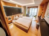 Deluxe Double room with mountain view