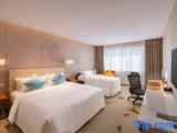 Executive Triple room