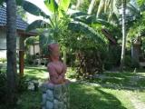 Superior Double room with garden view