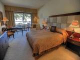 Deluxe Double room with garden view