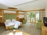 Superior Double room with balcony and with mountain view