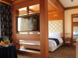 Business Double Suite
