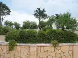 Economy Double room with sea view