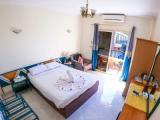 Standard Double room with garden view