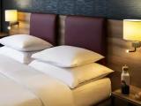 Double Family Suite