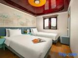 Bed in Dorm