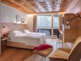 Superior Double room with mountain view
