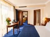 Deluxe Suite with view