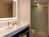 1 Bedroom Suite with city view