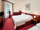 Standard Triple room with balcony and with mountain view