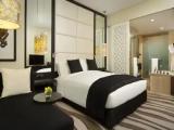 Superior Double room with city view