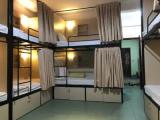 Bed in Dorm