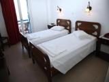 Standard Double room with balcony and with mountain view