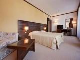 Deluxe room with balcony and with mountain view