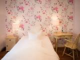 Superior Single room with mountain view