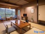 Standard room with mountain view