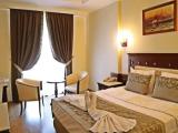 Standard Triple room with land view