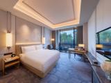Premium room with balcony and with garden view