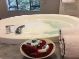 Executive Duplex Suite