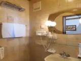 Standard Family Basement room