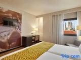 Standard Double Family room with view