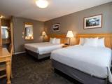 Standard Double room with pool view