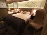 Superior room with city view