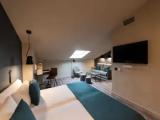Attic Double room