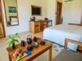 Deluxe Double room with balcony and with garden view