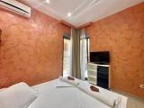 1 Bedroom Basement Apartment