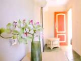 Economy Double room with garden view