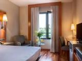 Standard Double room with park view