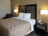 1 Bedroom Suite