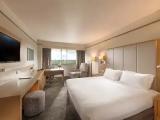Superior room with park view