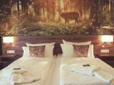 Deluxe room with mountain view