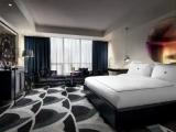 The Andy Double room