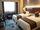 Executive Twin room