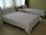 Standard Double Family room