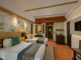 Standard Double room with balcony and with garden view