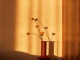 Superior Double room with balcony