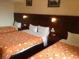 Standard Triple room with pool view