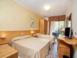 Economy Double room with balcony and with mountain view