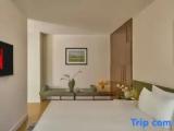Double Junior Suite with city view
